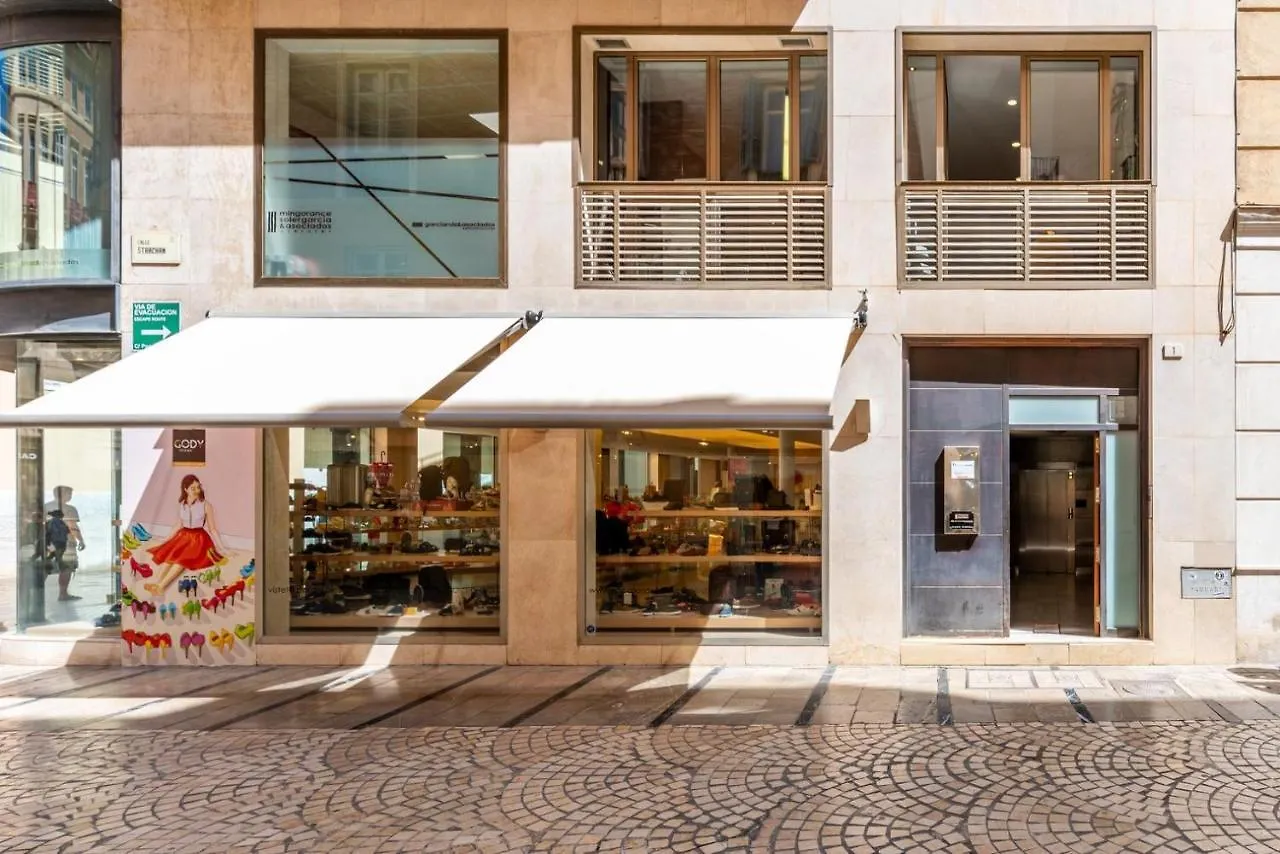 Apartment Gran Terraza Con Vistas A Calle Larios Malaga